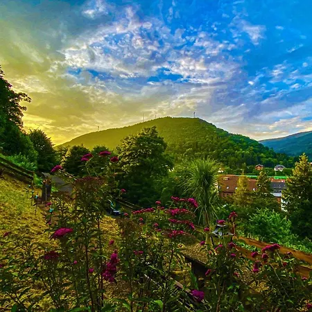 Lieblingsplatz Im Pfalzer Wald Διαμέρισμα *